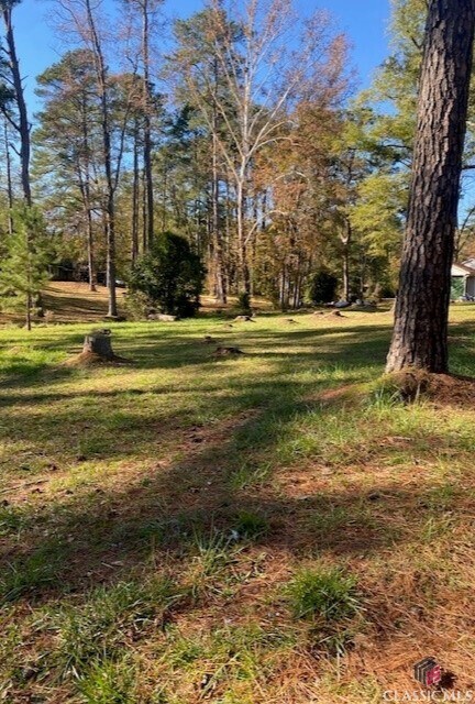 Property Photo: 0 Woodland Court GA 30669