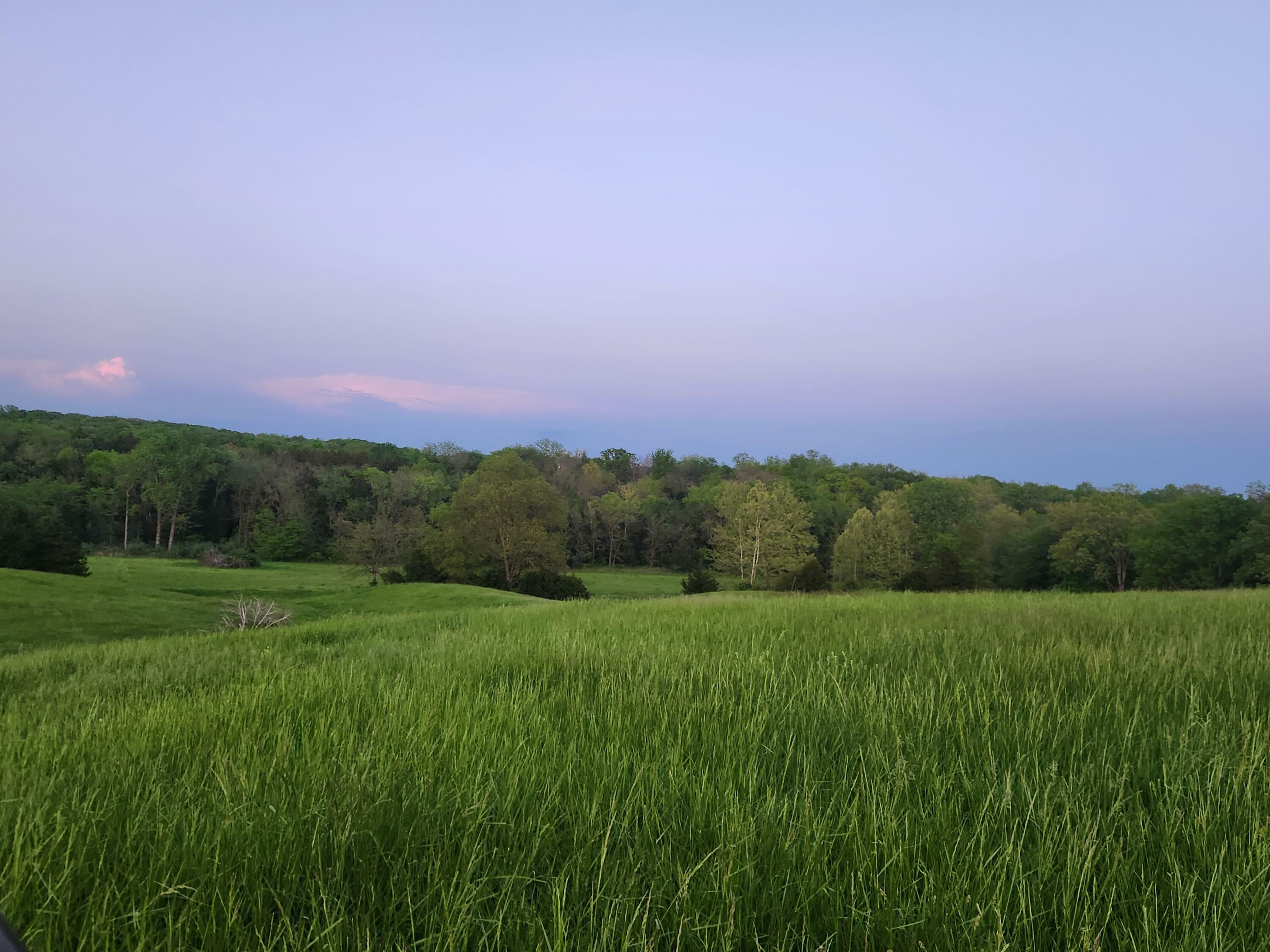 Property Photo: Tract 1 N Barnett School Rd MO 65284