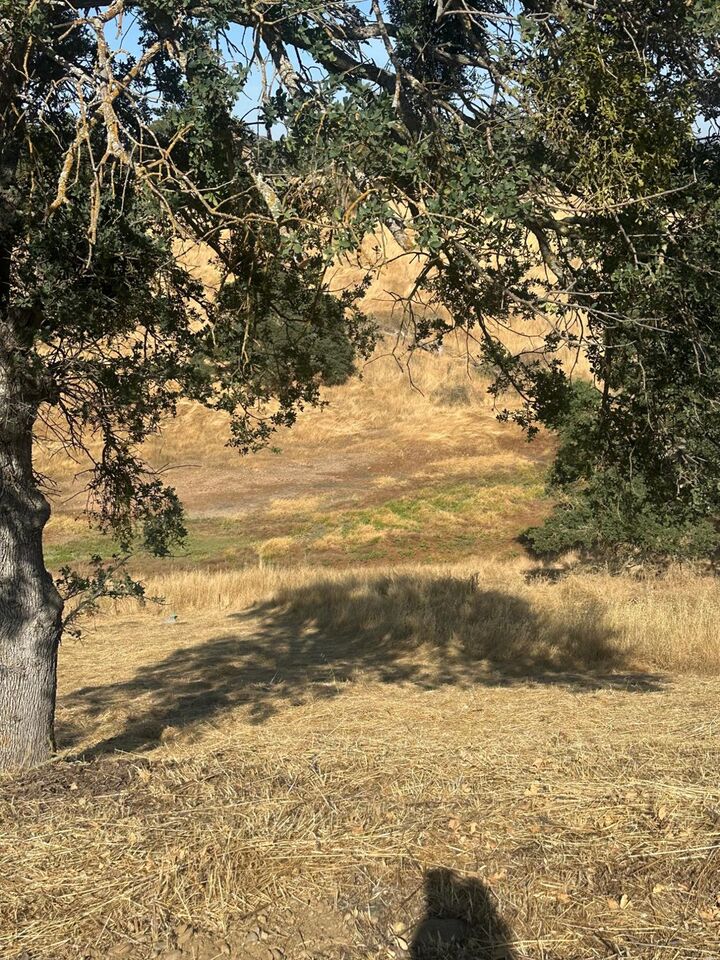 Property Photo:  75 Cormorant Drive  CA 95254 