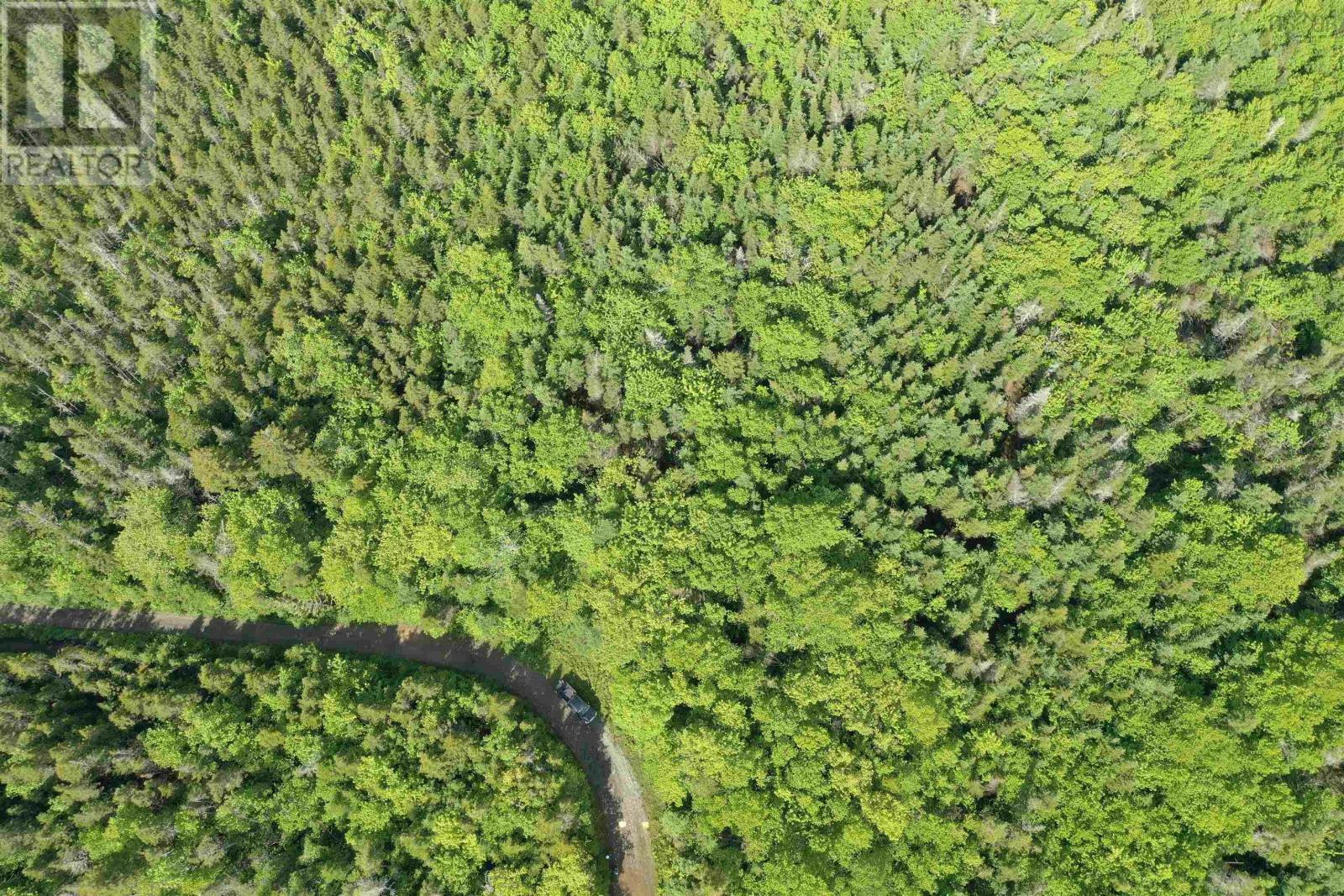 Property Photo:  Grant 16738 Moser River North Road  NS B0J 2K0 