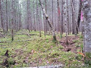 Property Photo: Lot 2022-2 Melanson Lane NB E3B 8Y6
