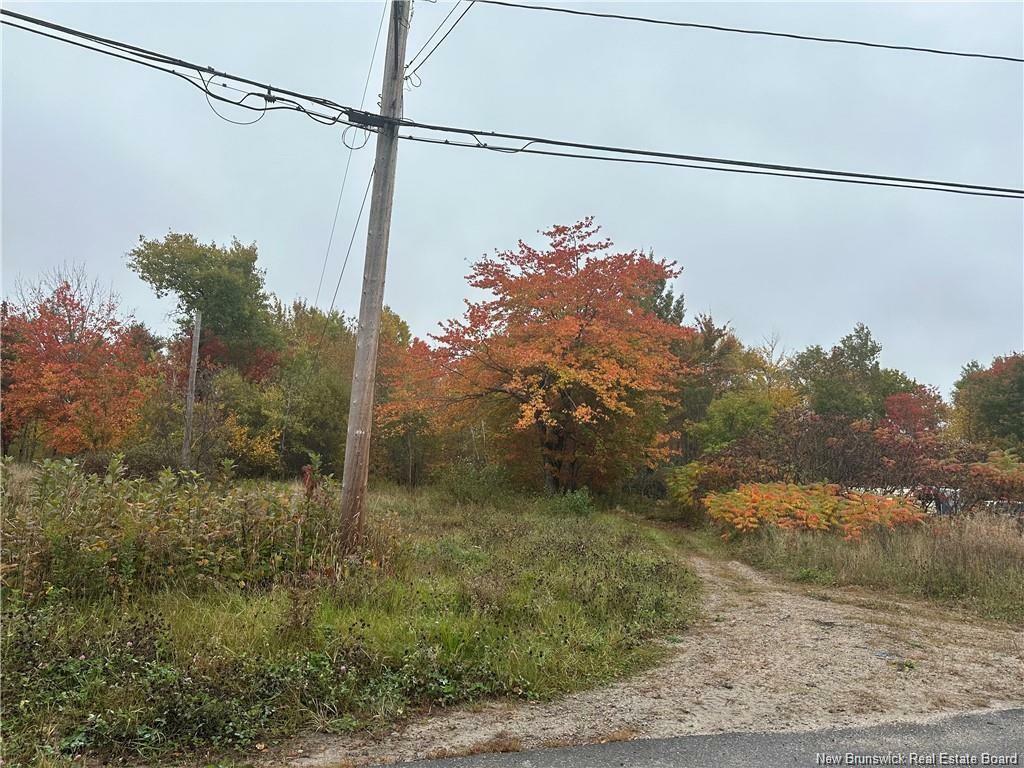 72 Old Harvey Road  McAdam NB E6J 1B8 photo