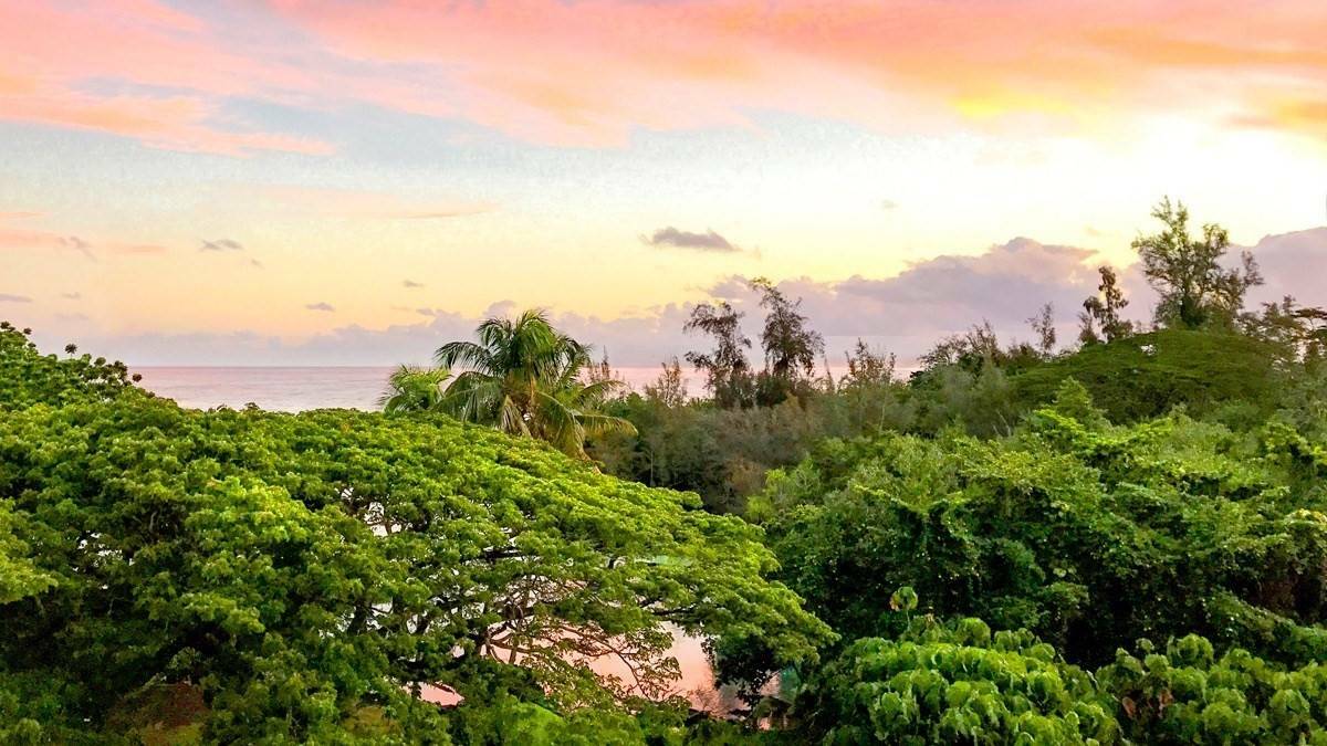 Property Photo: 1875 Kalanianaole St 504 HI 96720
