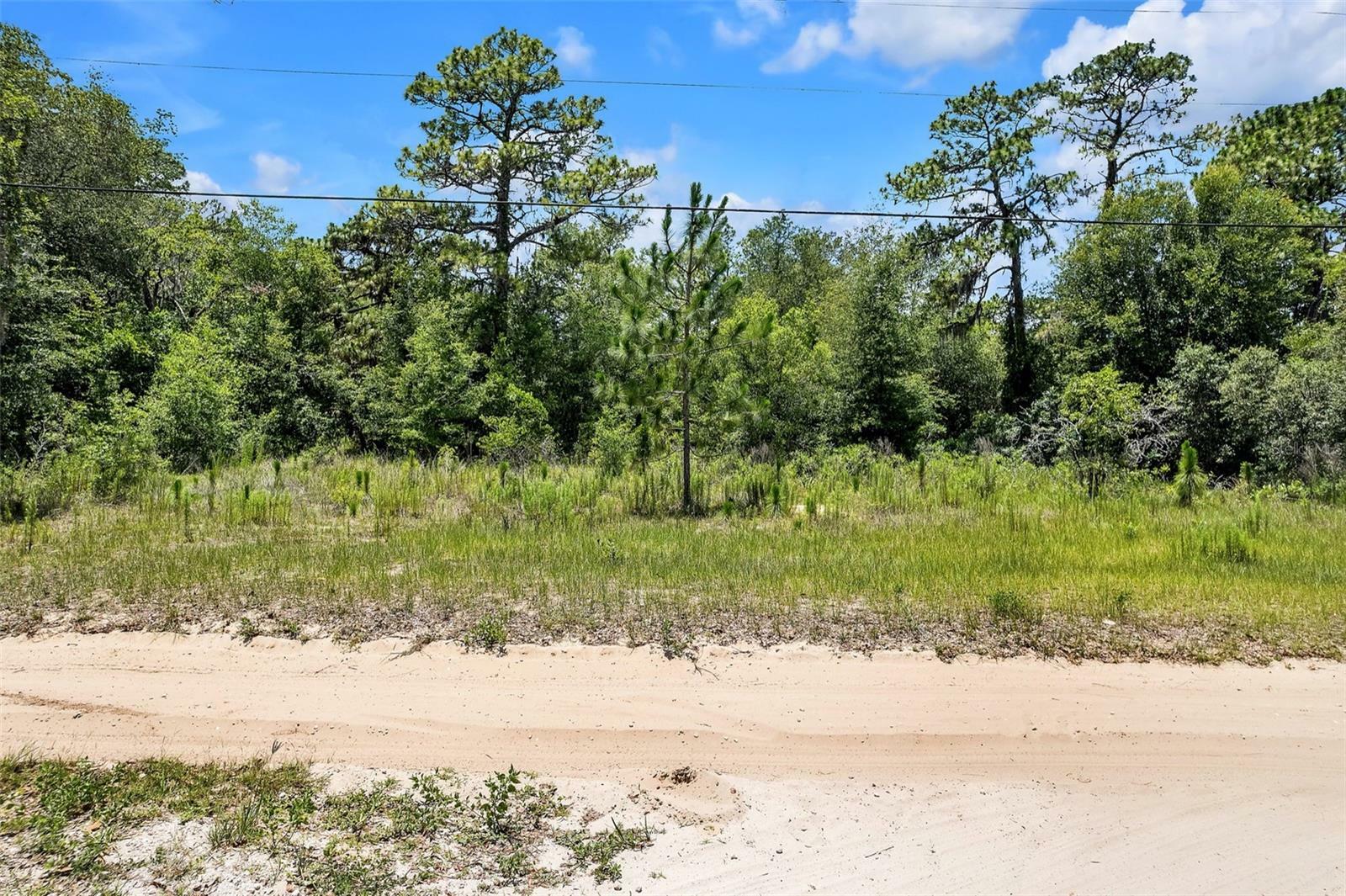 Property Photo:  620 S Fairlane Terrace  FL 34461 
