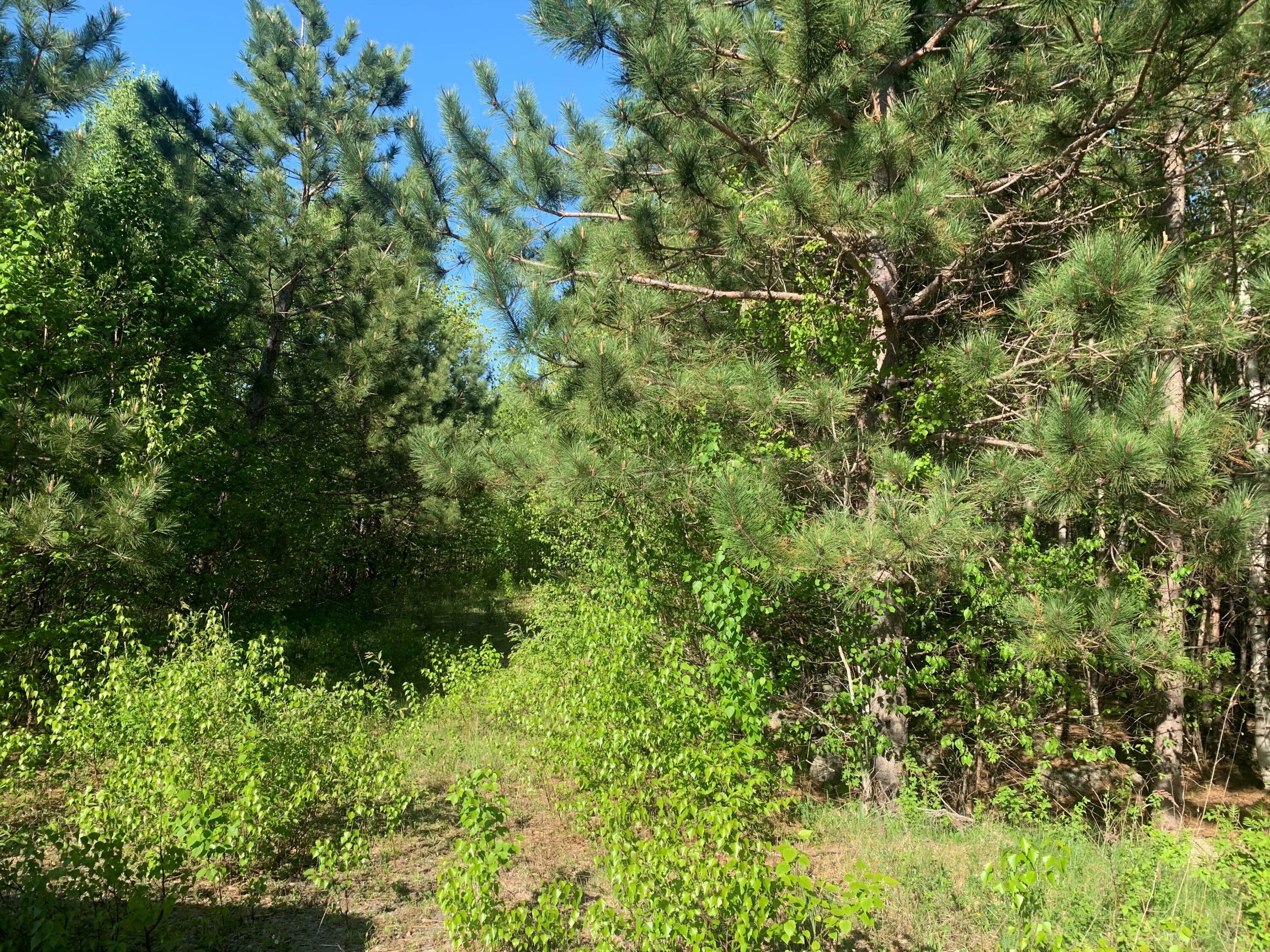 Property Photo: Lot 24 Grand View Drive ME 04429