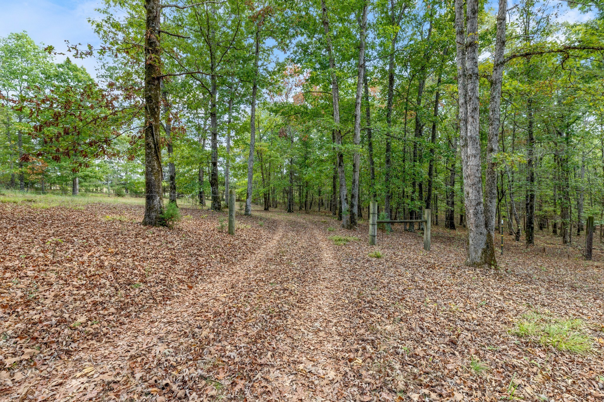 Property Photo: 5500 Old Nashville Hwy TN 37101