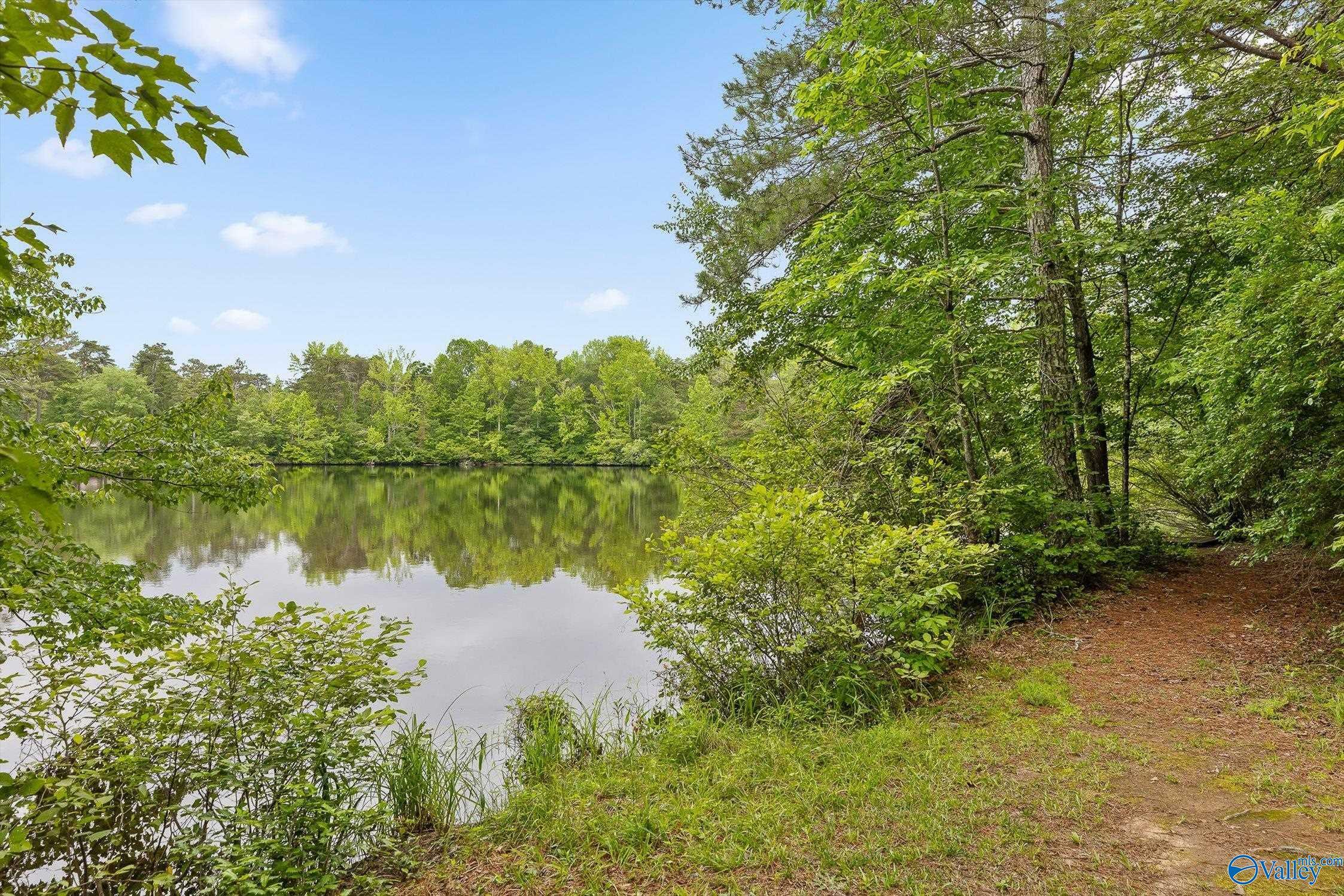 Property Photo: Lot #1 Moon Lake Road AL 35984