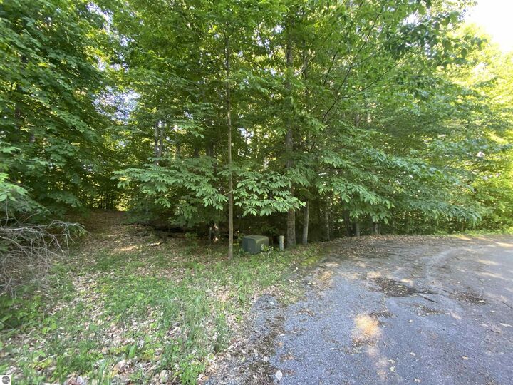 Property Photo:  Lot 10 S Club Drive  MI 49621 