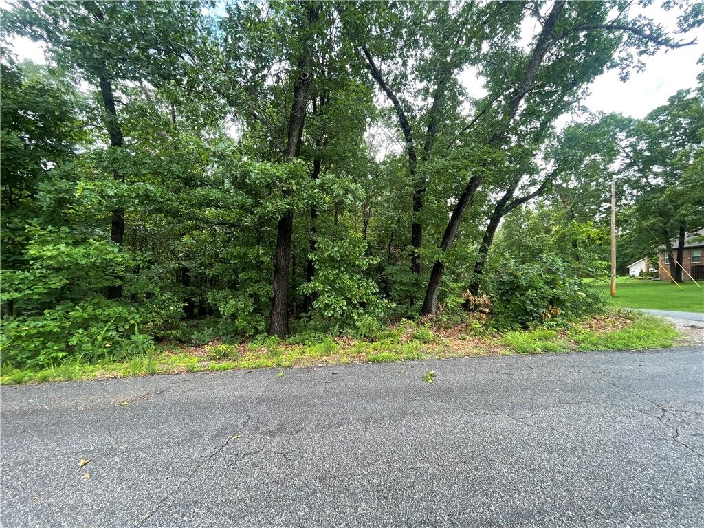 Property Photo:  Elswick Lane  AR 72715 