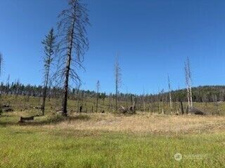 Property Photo:  190  Bunch Road  WA 98859 