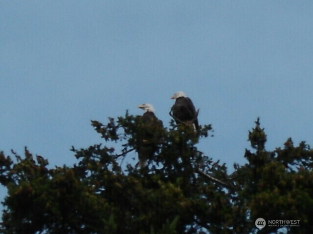 Property Photo: 4125 76th Place NW WA 98271