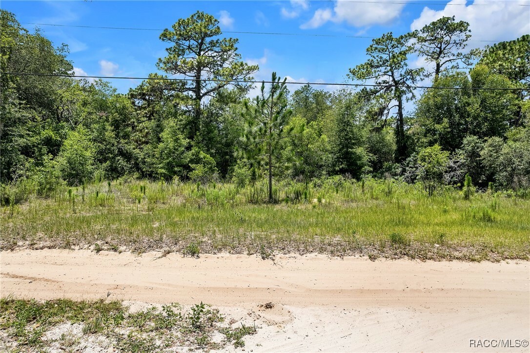 Property Photo: 620 S Fairlane Terrace FL 34461