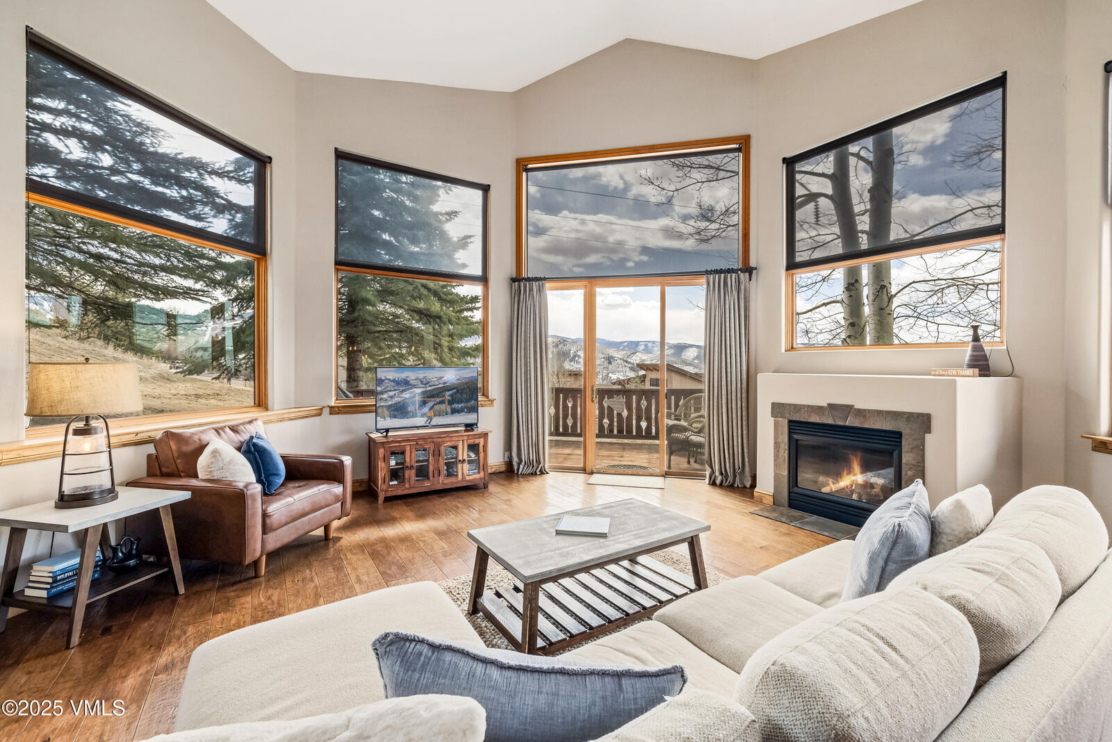 Property Photo:  2960 June Creek Trail A  CO 81620 