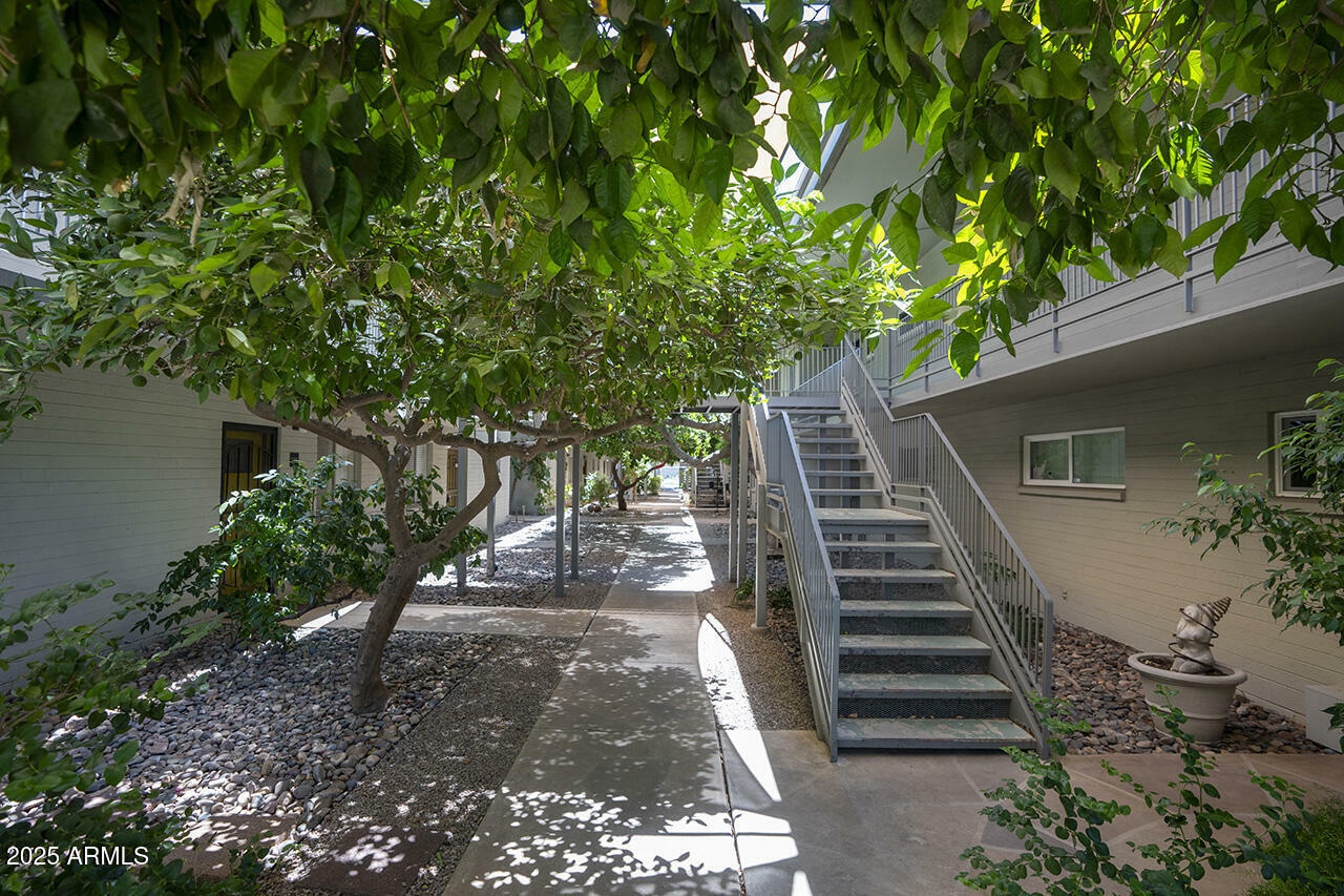 Property Photo: 1107 W Osborn Road 213 AZ 85013