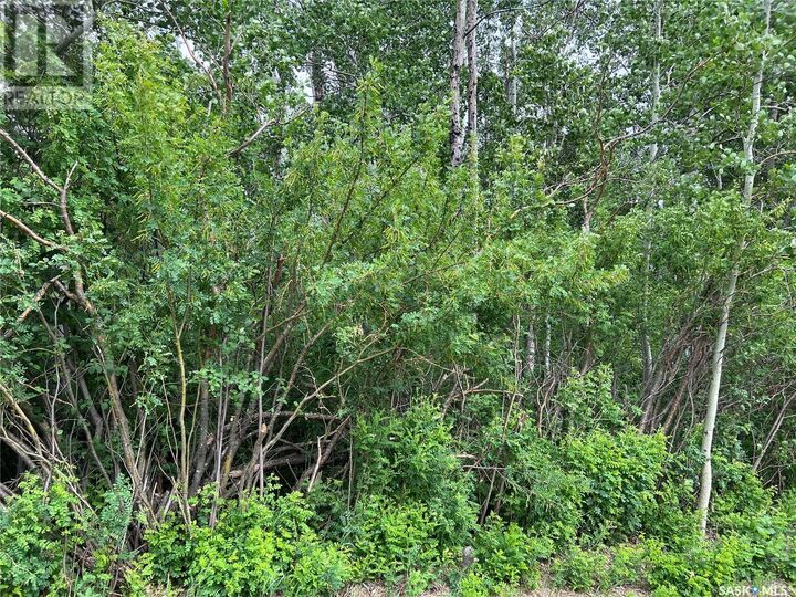 Property Photo:  327 Windsor Avenue  SK S0E 1H0 