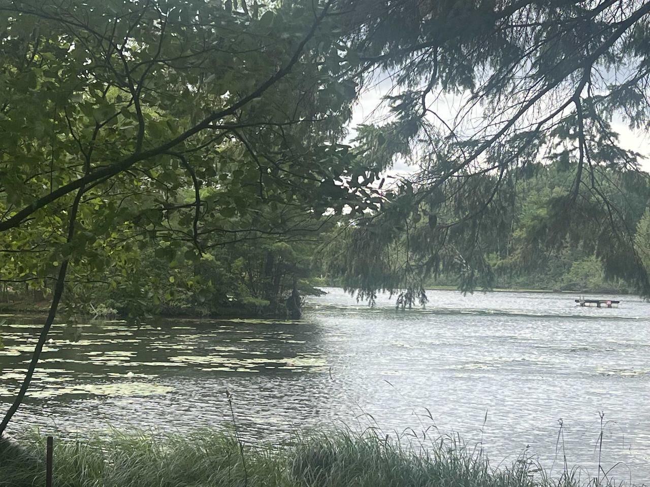 Property Photo: N8981 W Island Road WI 54555