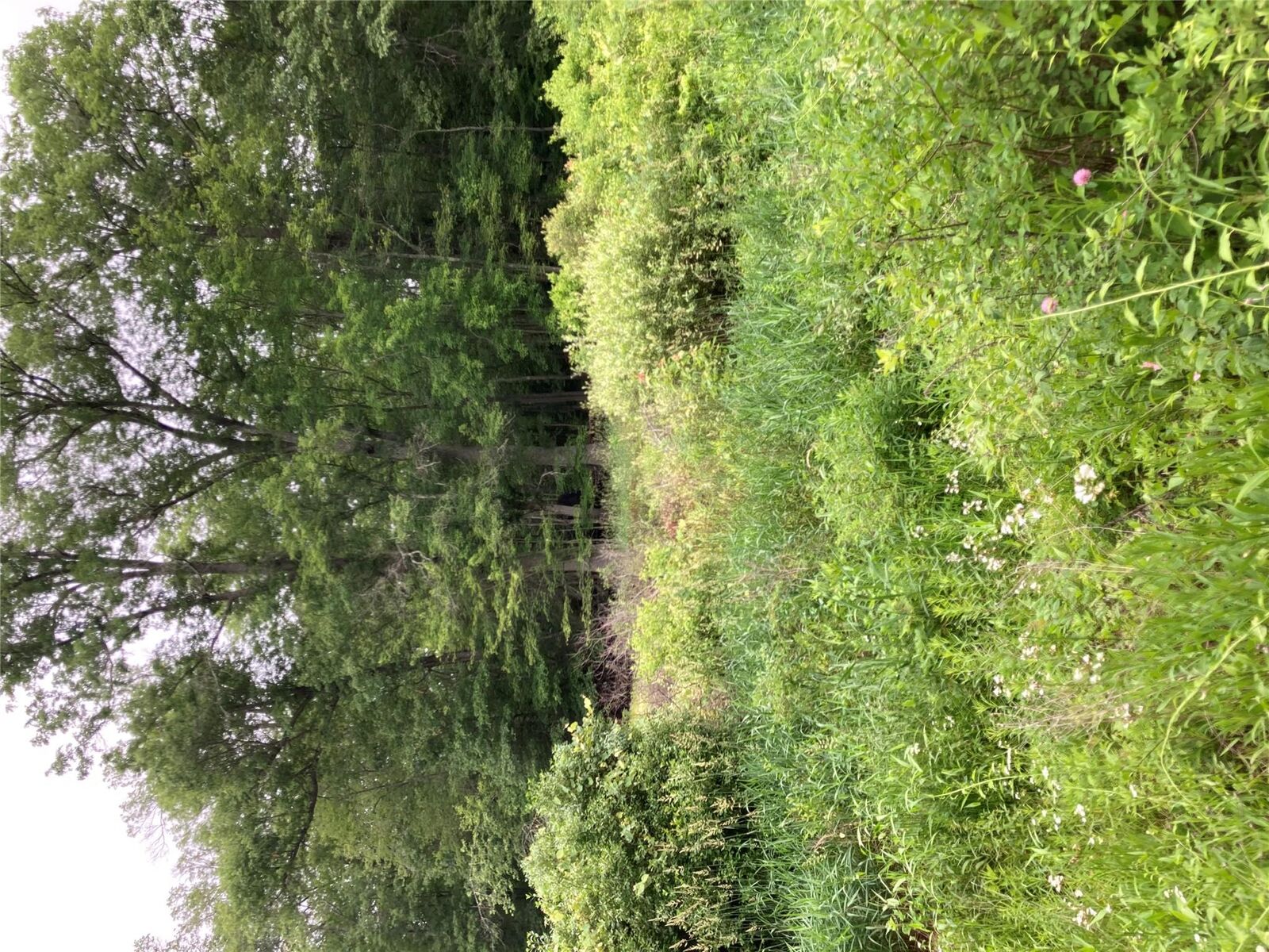 Property Photo: Baxtertown Road NY 12524