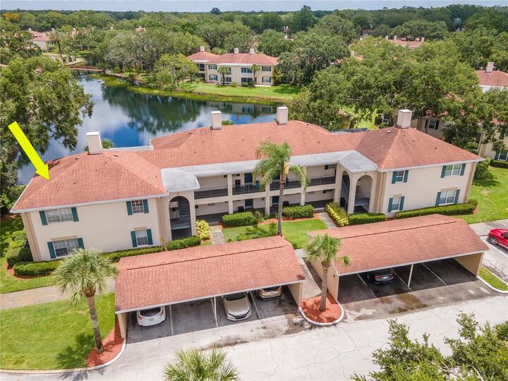 Property Photo:  10330 Carrollwood Lane 95  FL 33618 