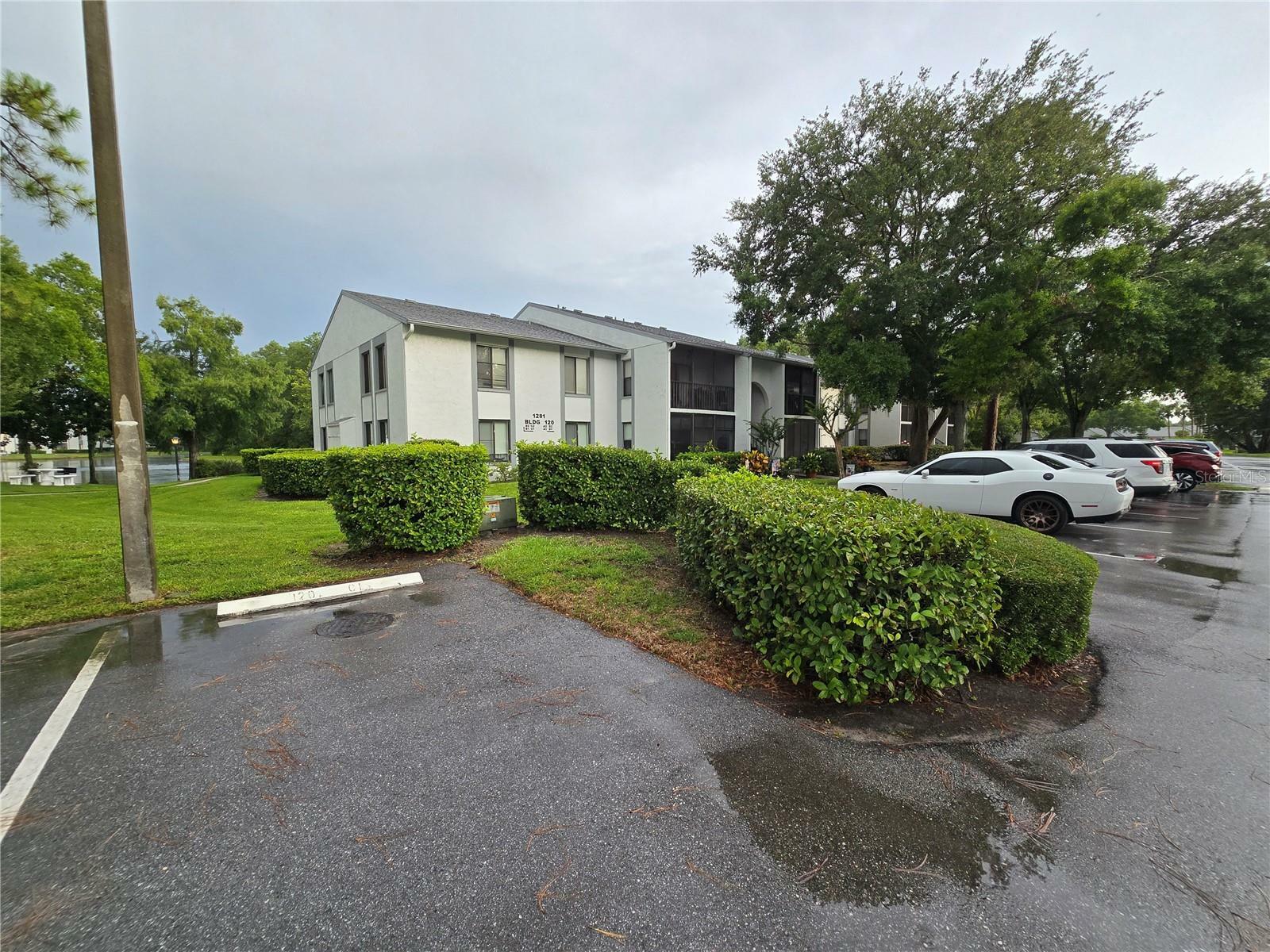 Property Photo: 1281 Pine Ridge Circle E B1 FL 34688
