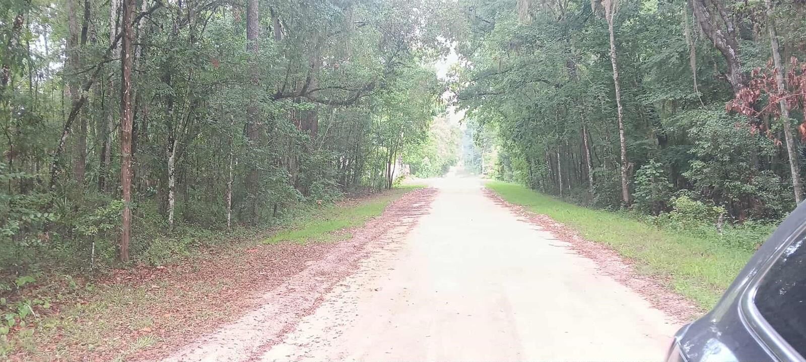 Property Photo: 000 SW 15 Place FL 34481