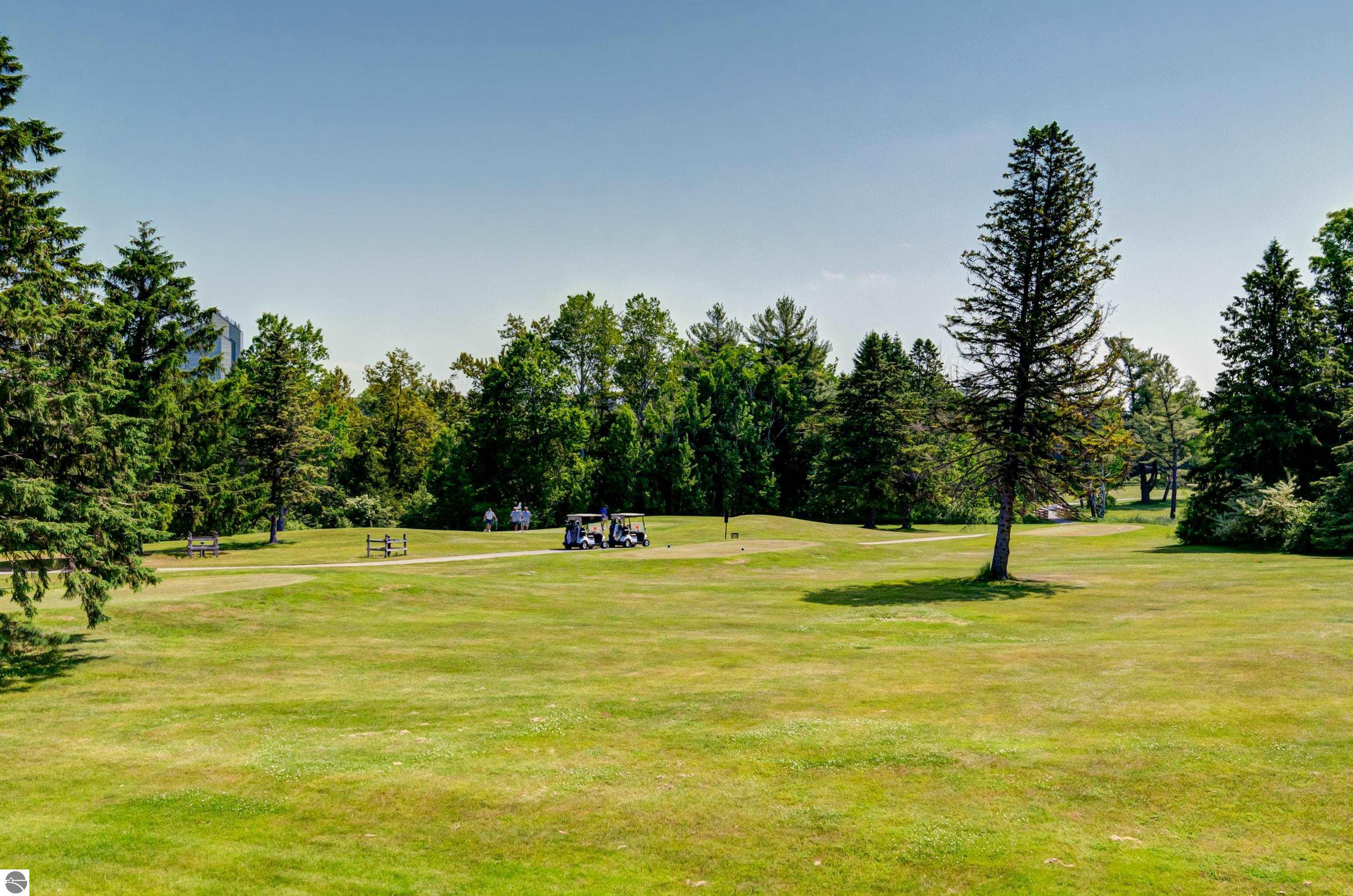 Property Photo: 6022 Holt Road MI 49690