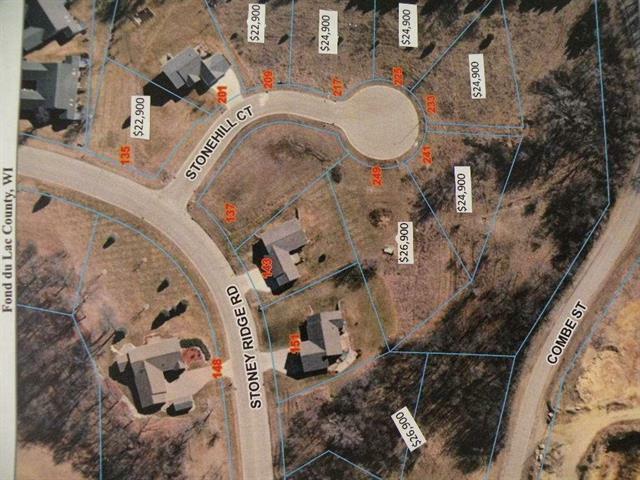 Property Photo:  217 Stone Hill Court  WI 54971 