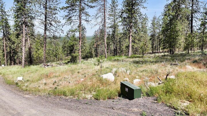 Property Photo:  Nka Lower Weaver Lot B Way  WA 99006 