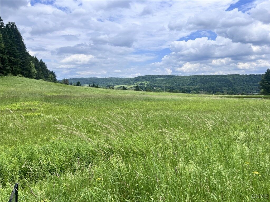 Property Photo: Telephone Road NY 13040