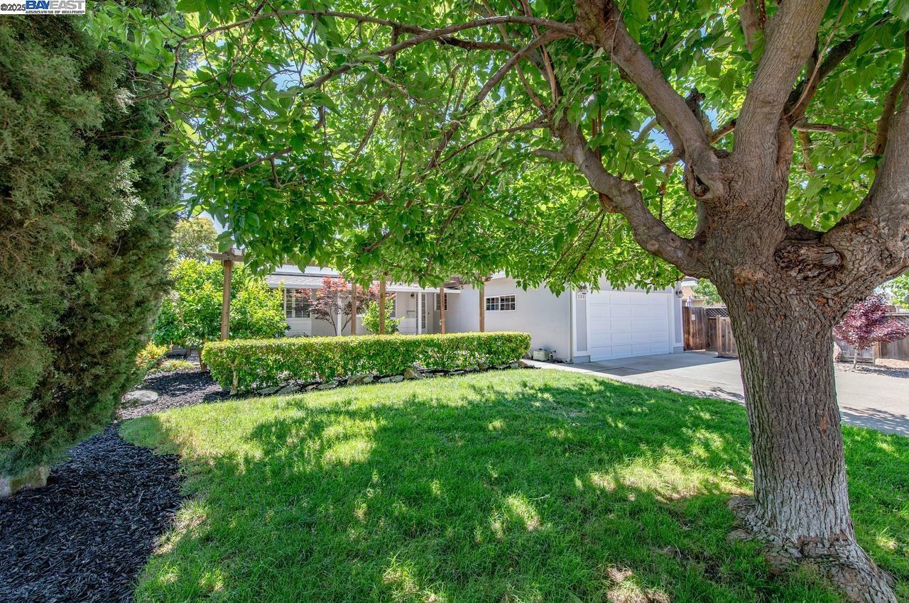 Property Photo:  285 Edythe St  CA 94550 