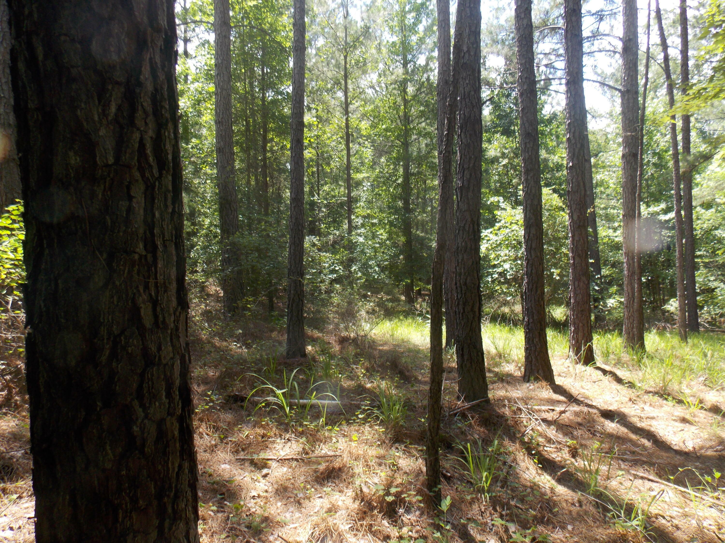 Property Photo:  1054 Pine Point Lane  GA 30668 