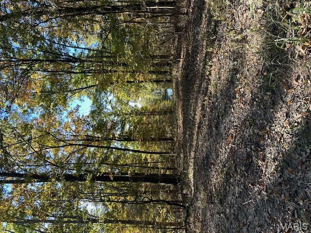 Property Photo: 747 Hohokam Lane MO 63755