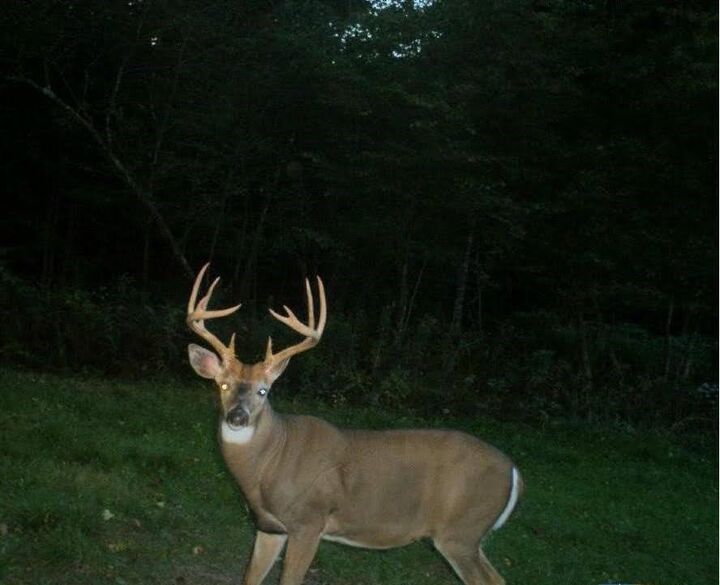 Property Photo:  110 Acres County Road O  WI 54819 