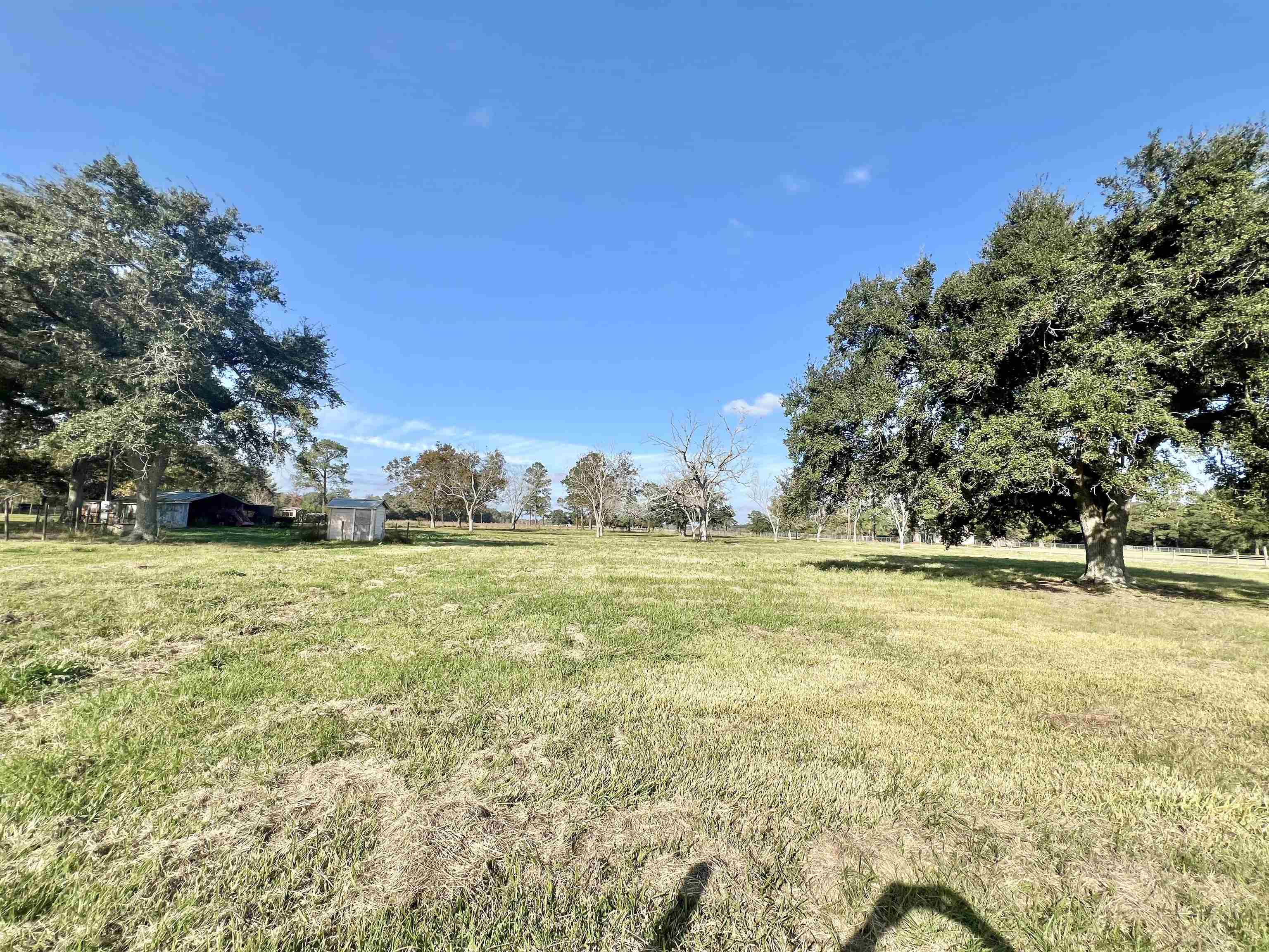 Property Photo: 0000 Hwy 73 TX 77665