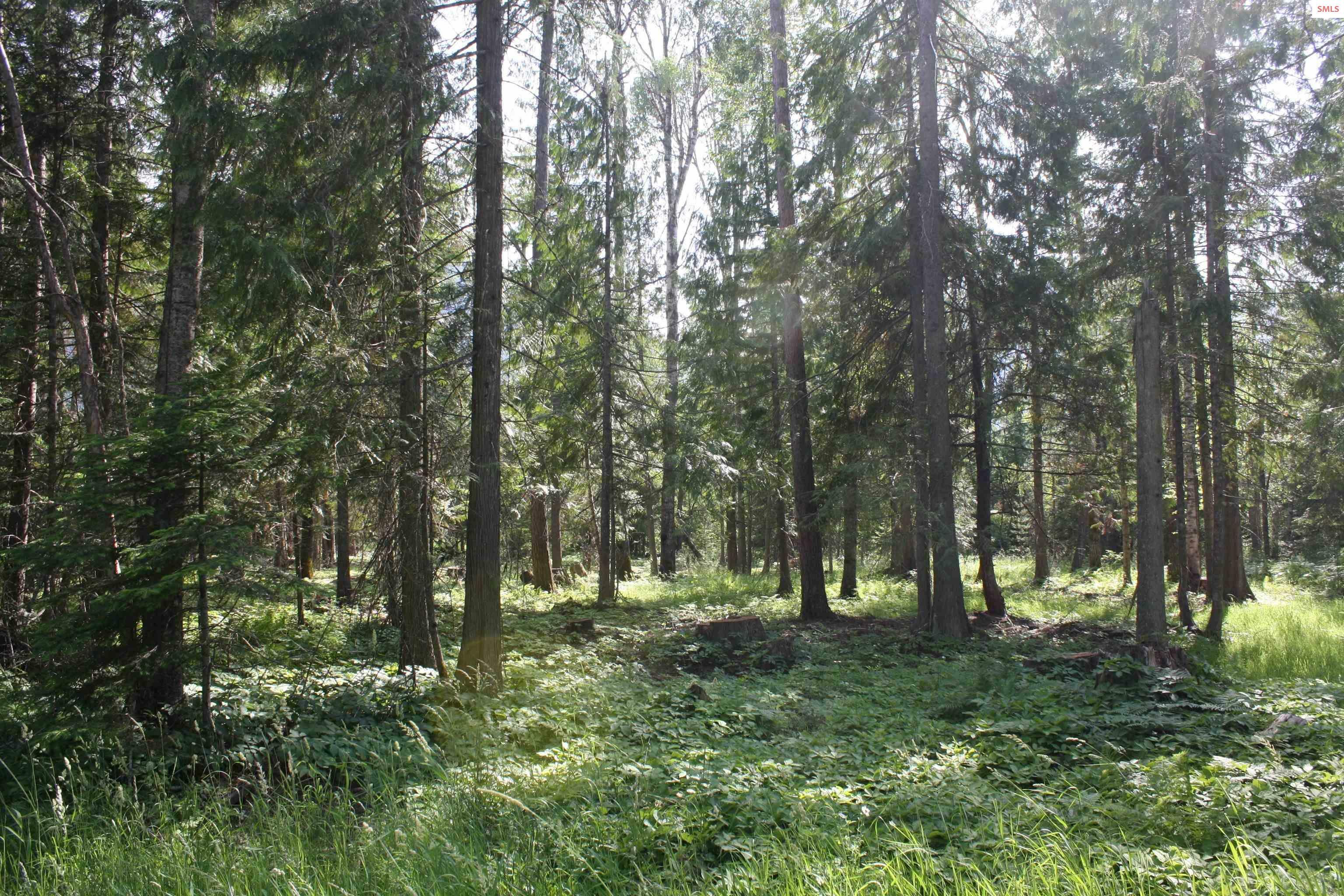 Property Photo: Nna River Lake Drive ID 83811