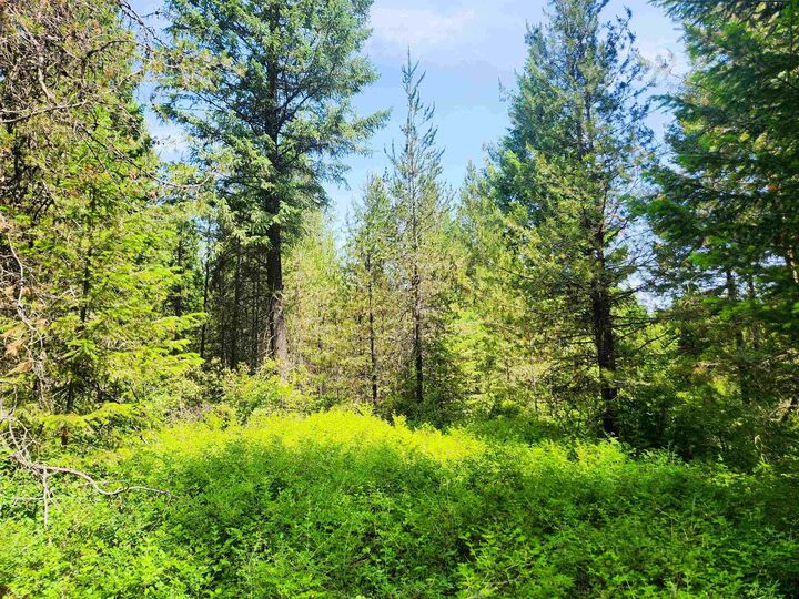 4711 X Springdale Hunters Rd  Springdale WA 99173 photo