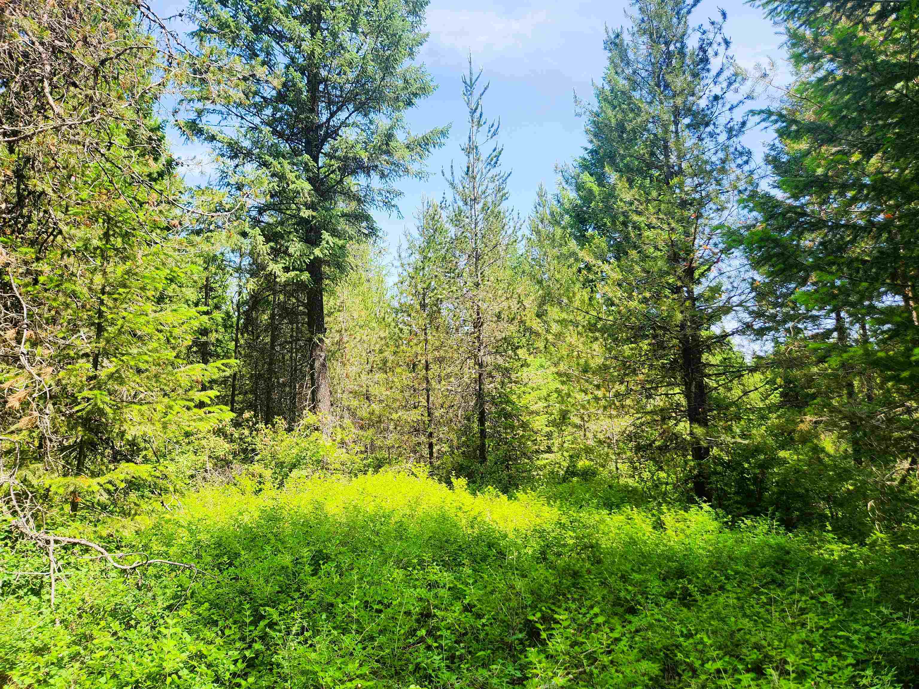 Property Photo: 4711 X Springdale Hunters Rd WA 99173