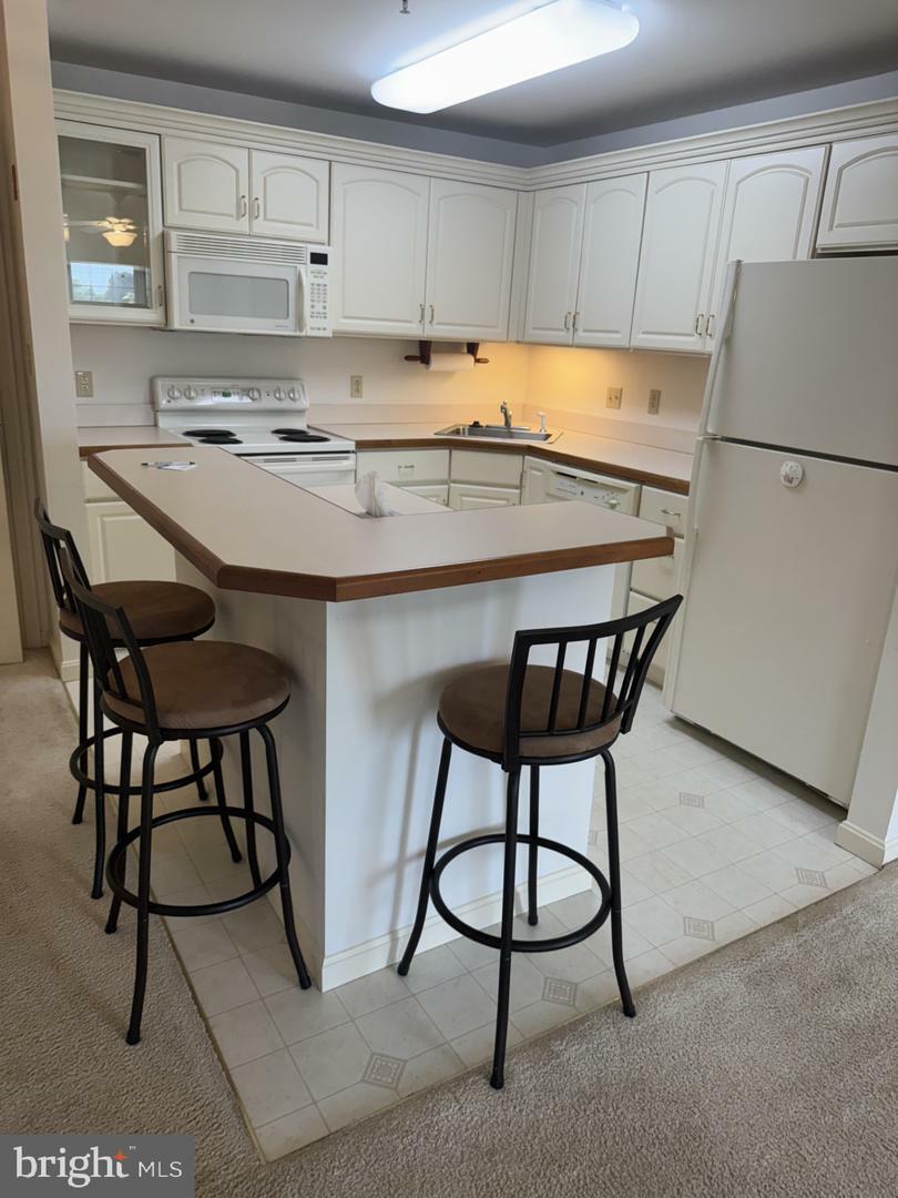Property Photo: 1103 S Schumaker Drive C-300 MD 21804