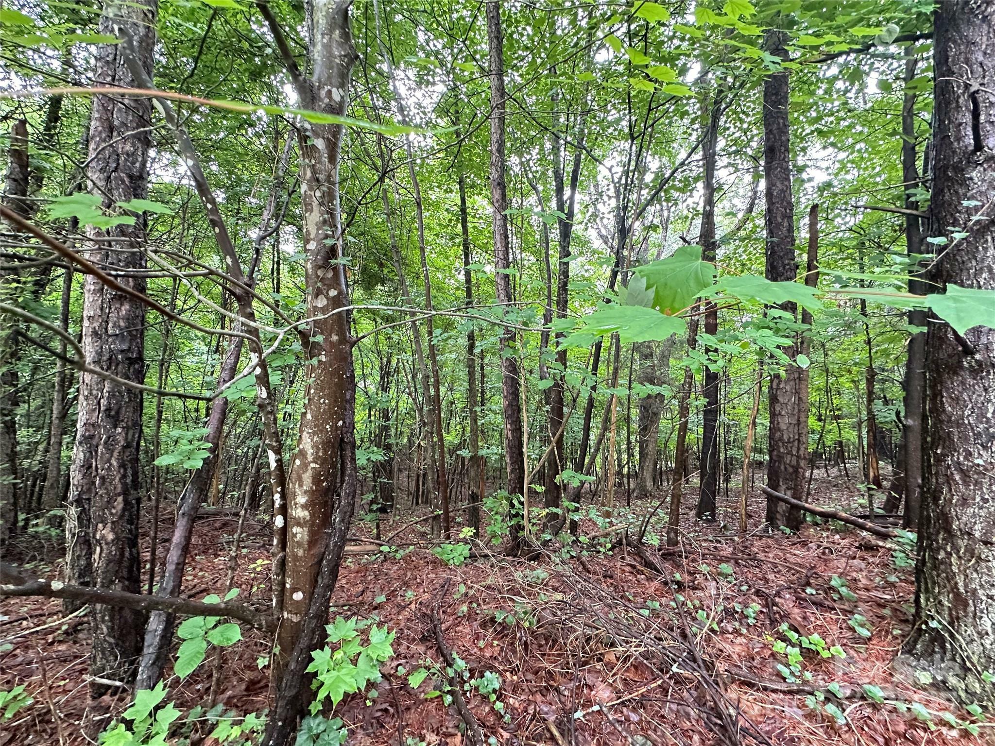 Property Photo: 8810 Hollybrook Lane NC 28227