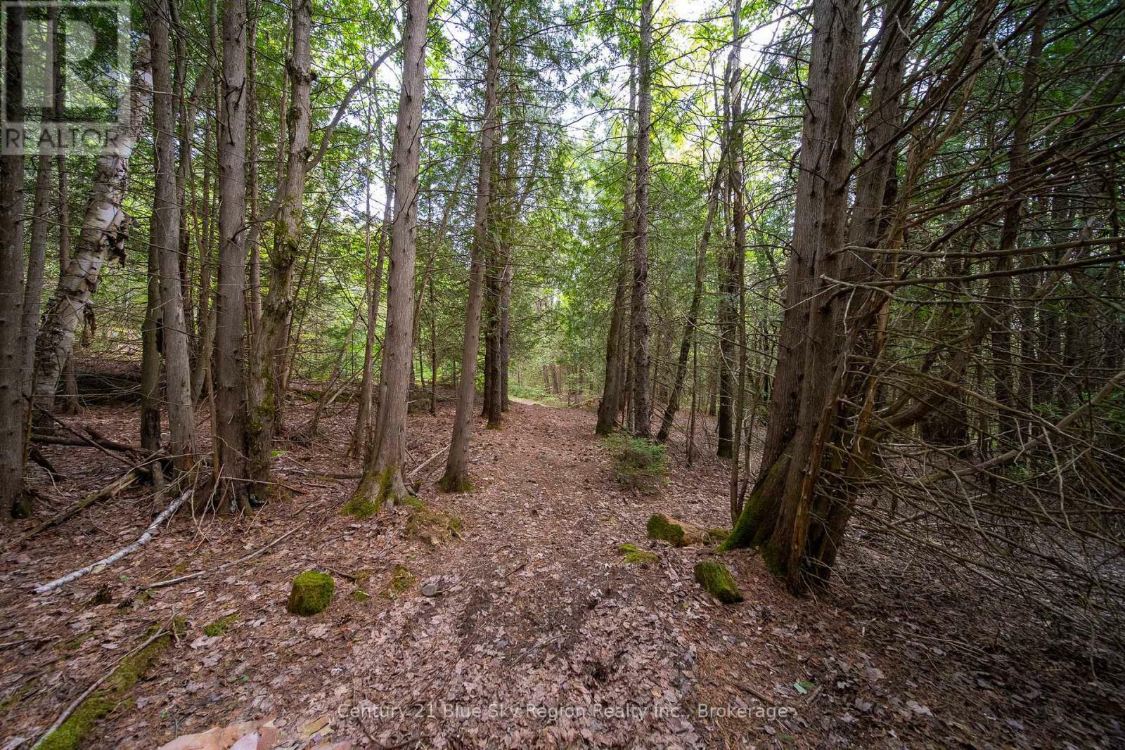 Photo de la propriété:  Lot 20 Collins Drive  ON P1B 8G3 