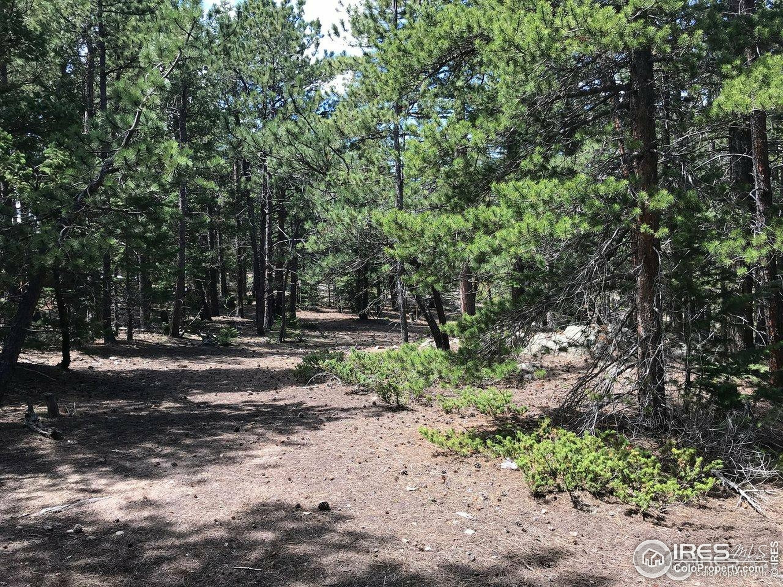 Property Photo: 575 Ranch Rd CO 80481