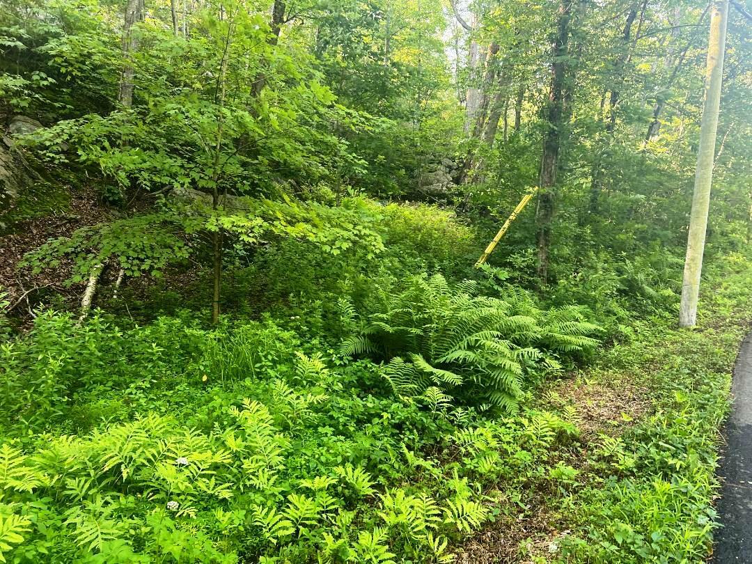 Property Photo: Lot 14.1 Wiccopee Road NY 10579
