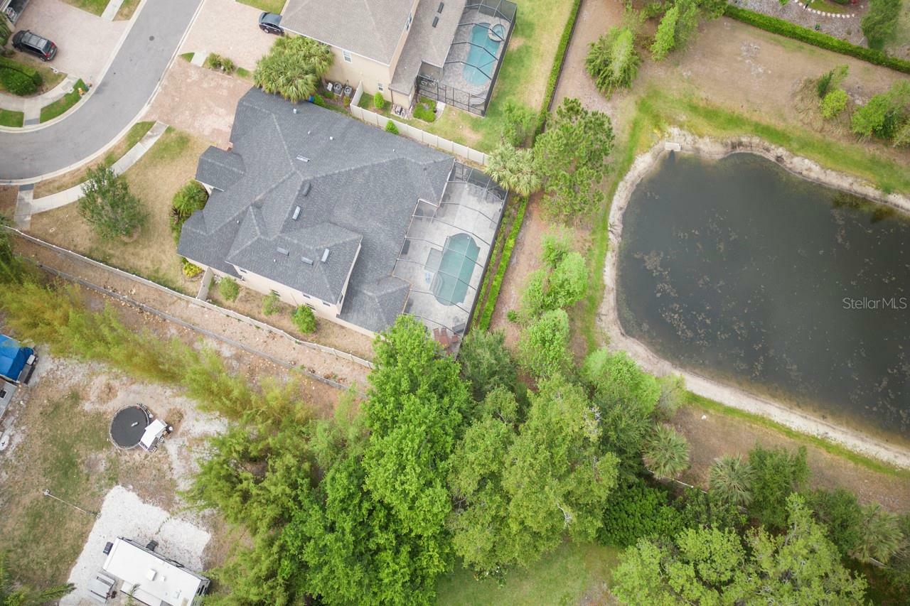 Property Photo:  3603 Arbor Chase Drive  FL 34683 