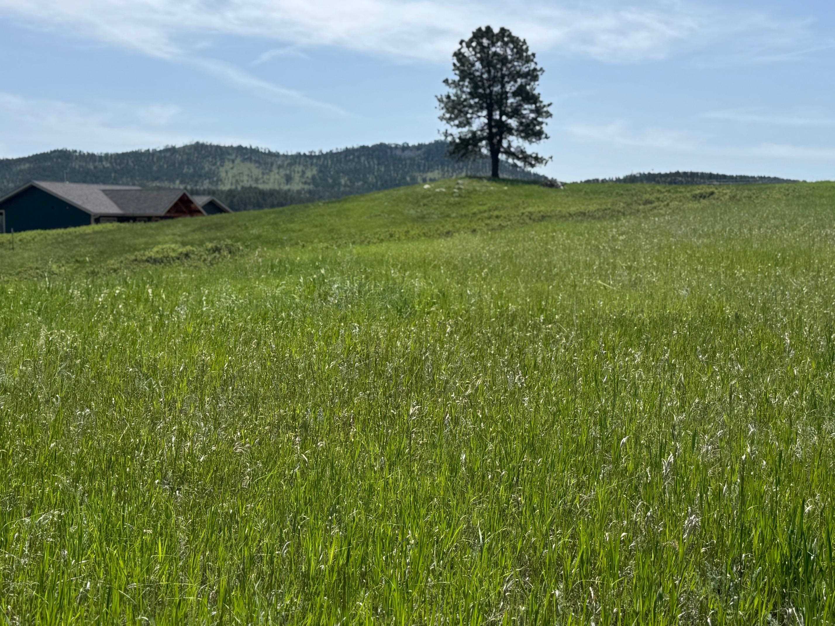 Property Photo: Lot 28 Park Avenue SD 57730