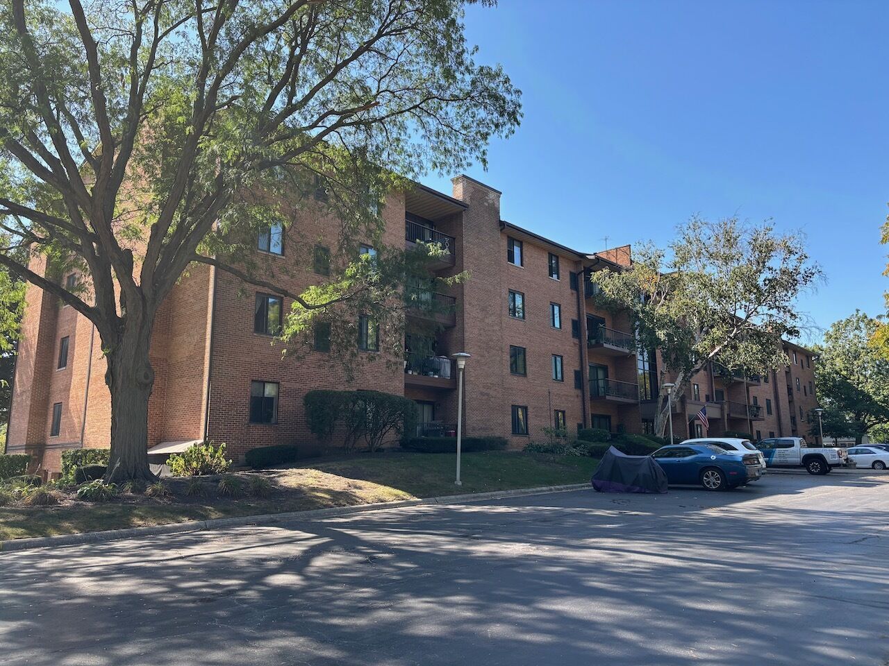 Property Photo: 709 79th Street 403 IL 60561