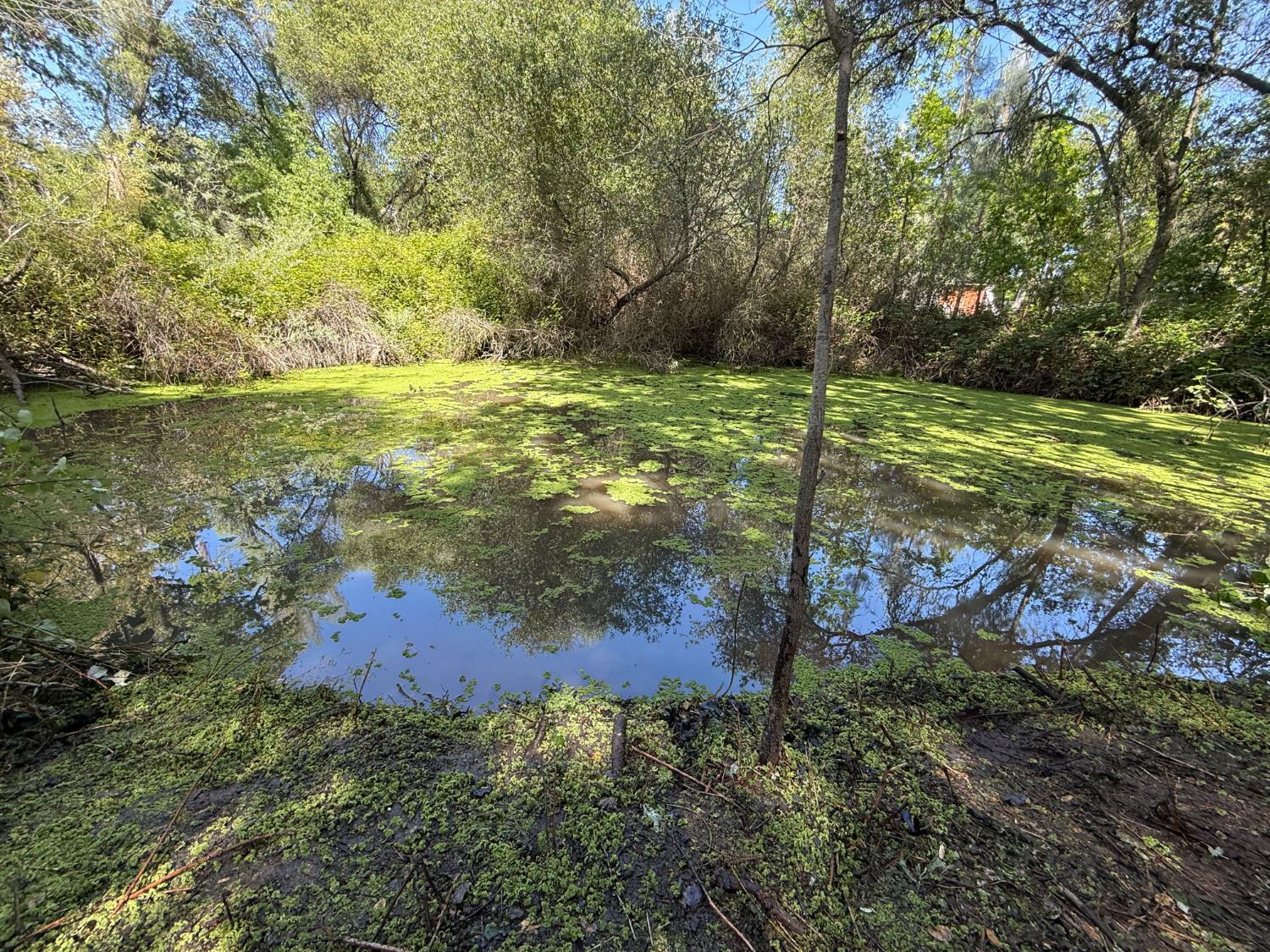 Property Photo: 0 Indian Springs Road CA 95650