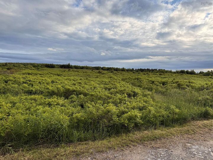 Property Photo: Chemin Simeon Aucoin Road NS B0E 3A0