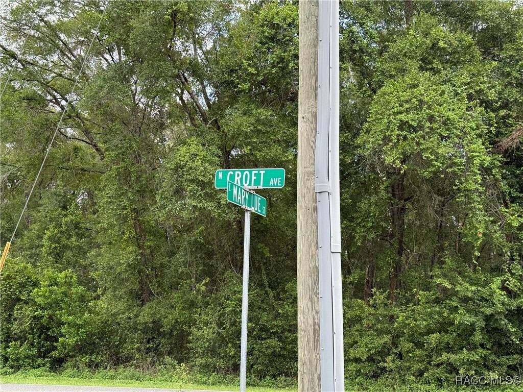 Property Photo: 2850 E Mary Lue Street FL 34453