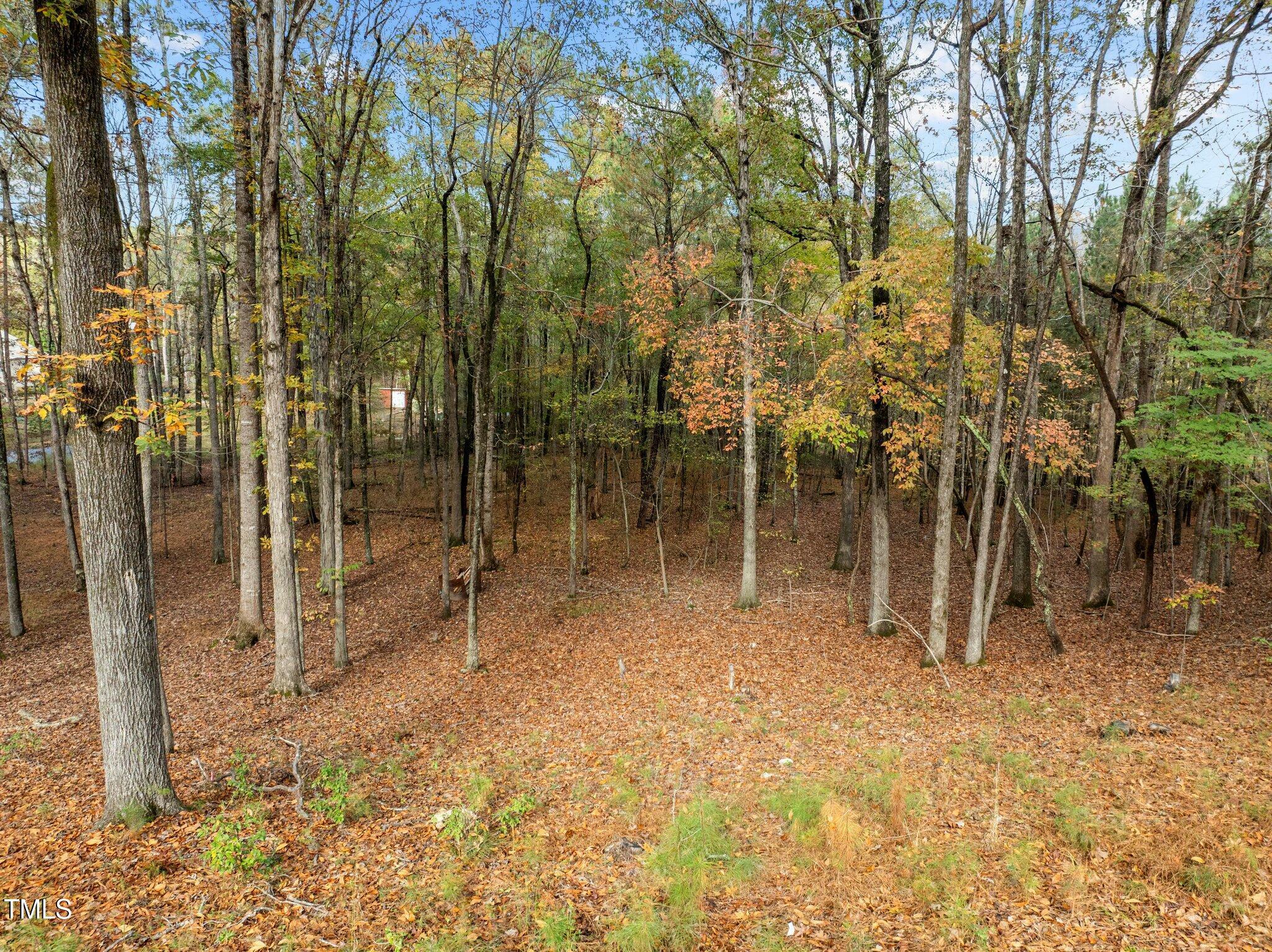 Property Photo: Tbd Hudson Hills NC 27312