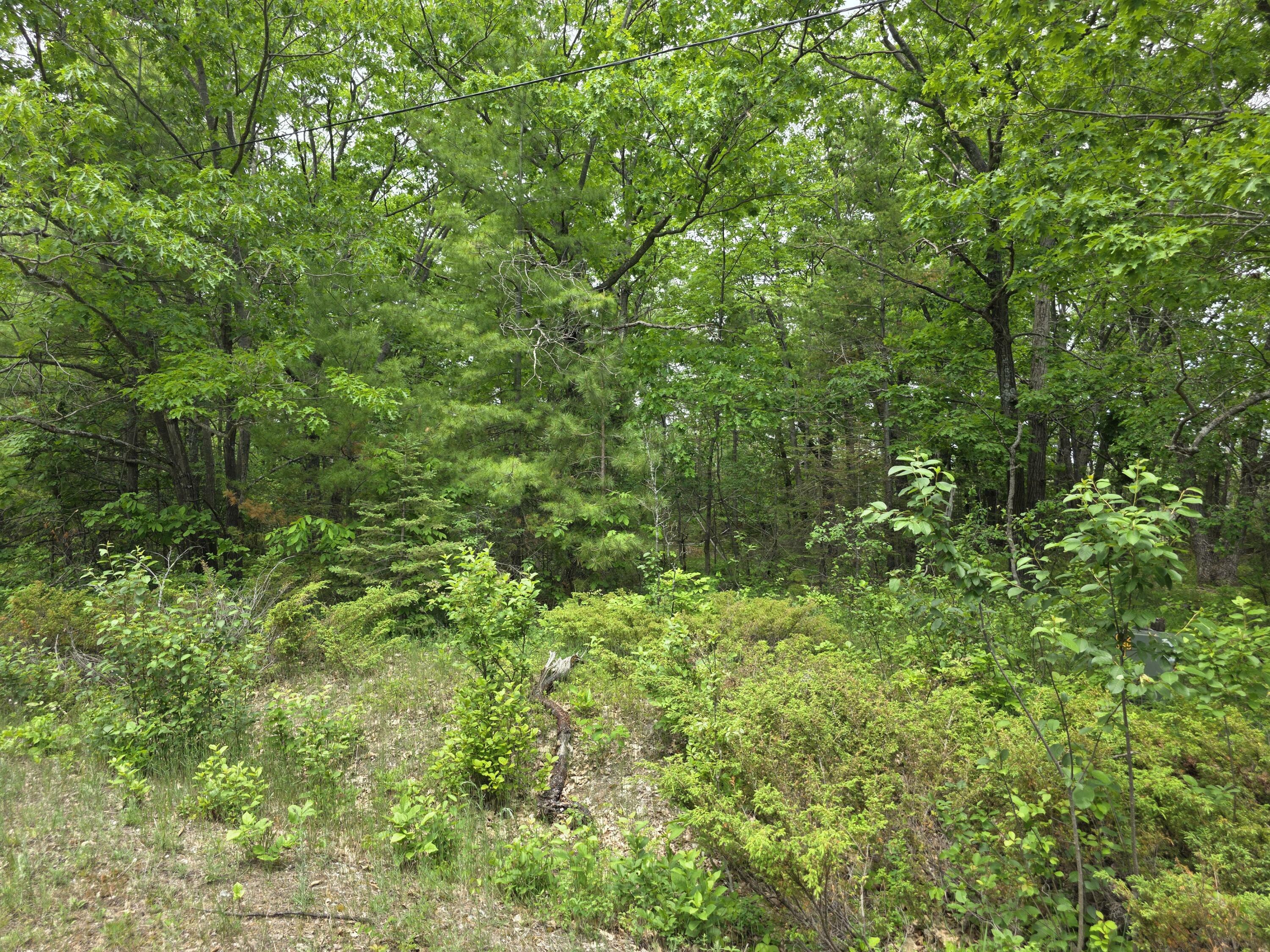 Property Photo: Balsam Circle MI 49777