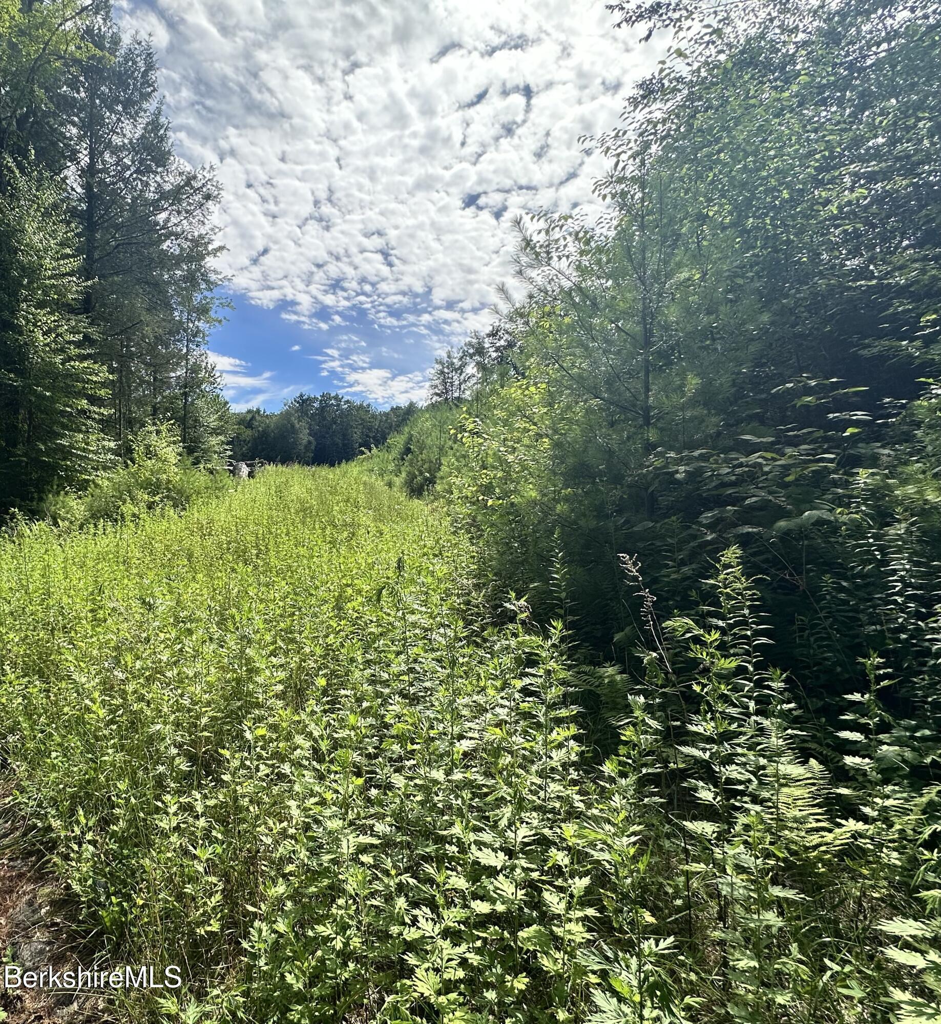 Property Photo:  1282 Burt Hill Rd  MA 01034 